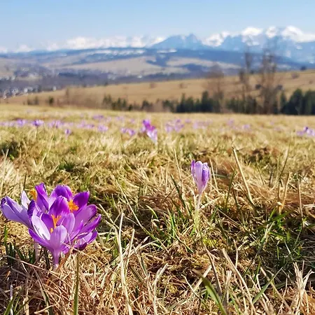 Alpehytte Na Stromej Klimatyczny Z Sauna, Cisza, I Rzeka, Relaks Dla Rodzin I Przyjaciol, Prywatny Parking